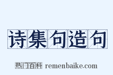 诗集句造句是什么意思的图片